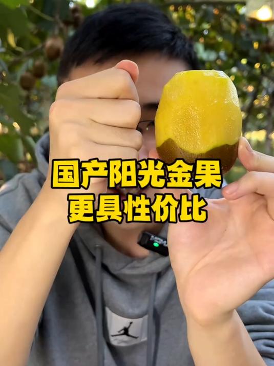 四川蒲江#黄心猕猴桃皮薄肉厚汁水丰富维C含量高