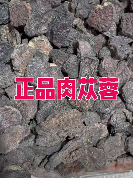 肉苁蓉泡水泡酒煲汤#肉苁蓉泡水##肉苁蓉煲汤##肉苁蓉泡酒##苁蓉养生局##苁蓉煲汤秘方#