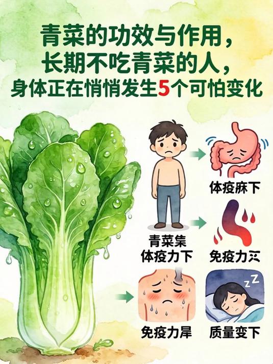 青菜的功效与作用,长期不吃青菜的人,身体正在悄悄发生5个可怕变化