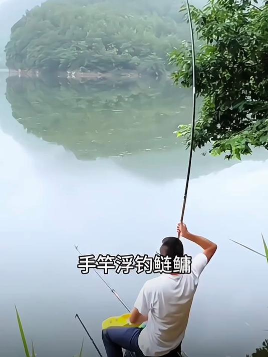 鲢鳙怎样才能钓的多?用这个方法,鱼竿提到手软!