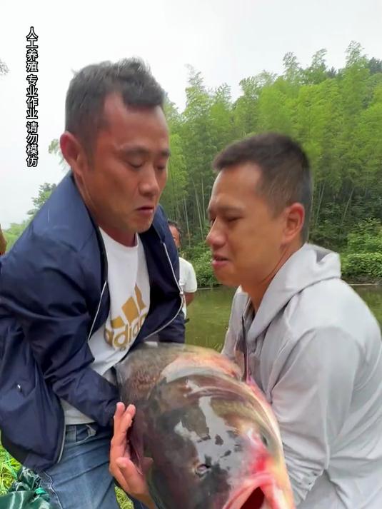 百斤青鱼没拉到，怒买一车巨型鲢鳙！