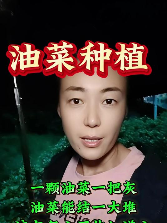 一颗油菜一把灰,油菜能结一大堆