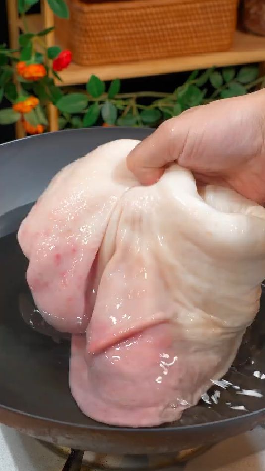 酸萝卜猪肚汤