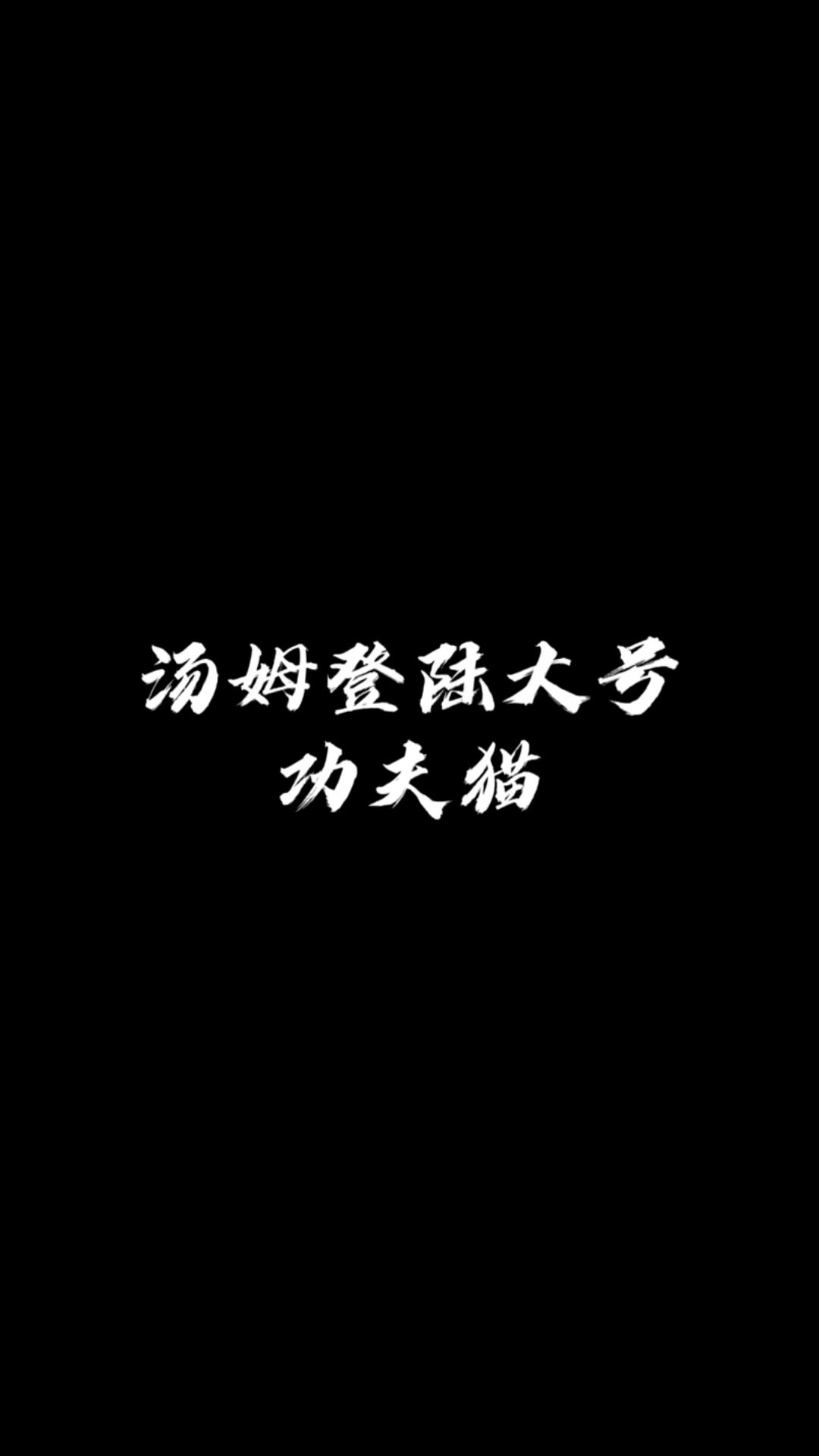 上了大号的汤姆秒变功夫猫,不愧是世界捉鼠冠军