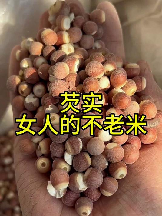 芡实 女人的不老米
