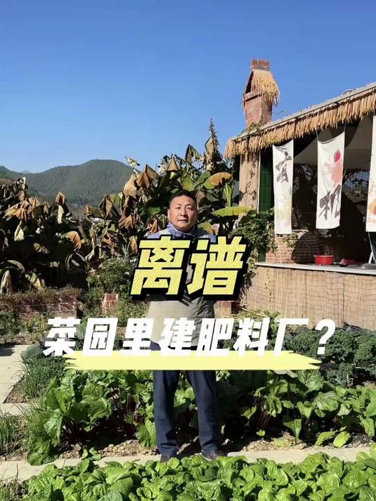 在菜园里建肥料厂，有机菜园里不可多得的绿肥：紫云英和三叶草