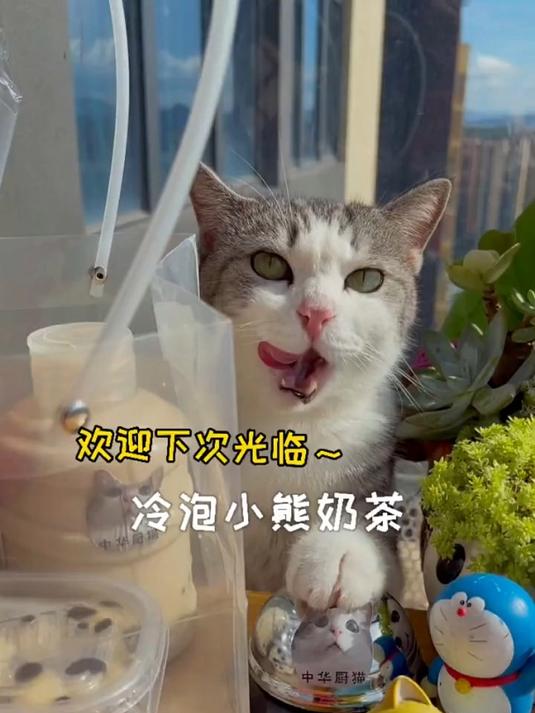 猫咪用豆腐做珍珠,冷泡的方式做奶茶,也太好喝了