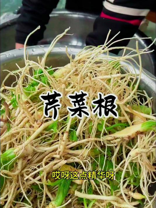 好久没看我家大酱缸了，今天给他送份礼物，芹菜根子希望他能喜欢