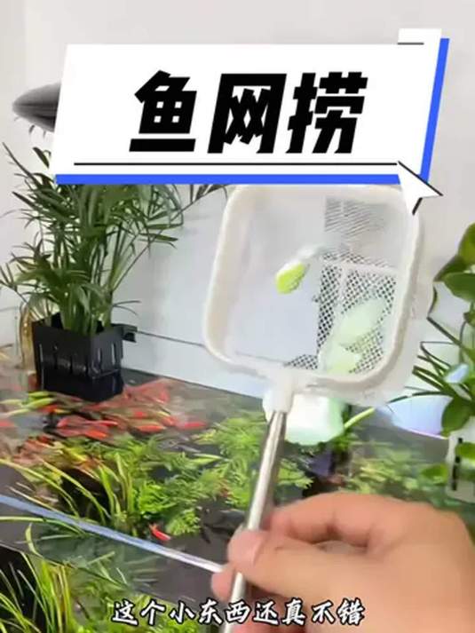 3D加深鱼网兜,捞鱼不跑超好用,价格还便宜