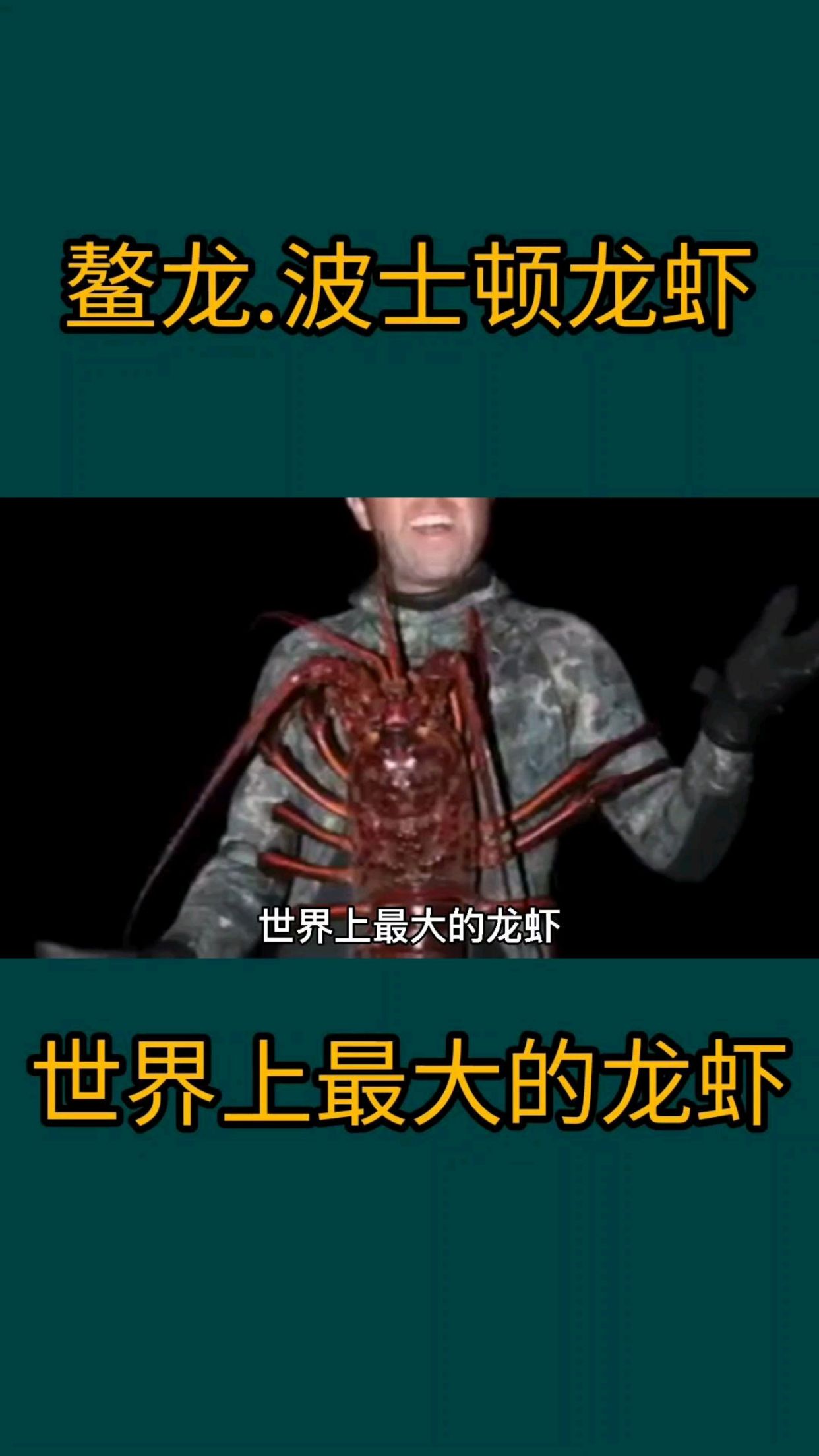 世界上最大的龙虾