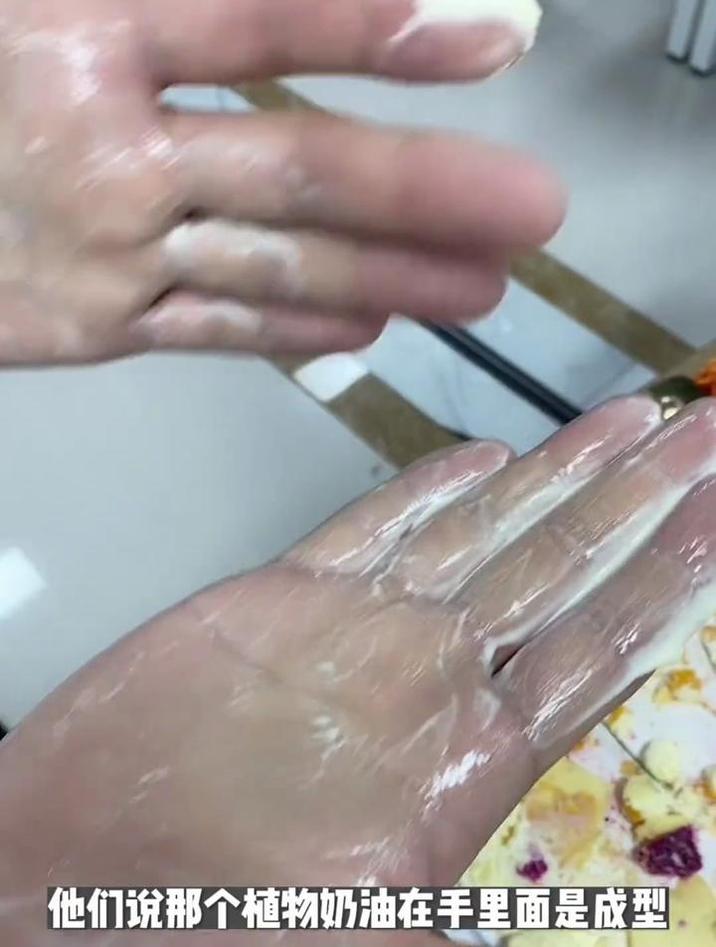 辛吉飞动物奶油和植物奶油蛋糕你选哪个