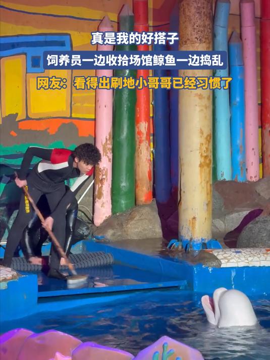 饲养员一边收拾场馆鲸鱼一边捣乱,网友:看得出刷地小哥哥已经习惯了
