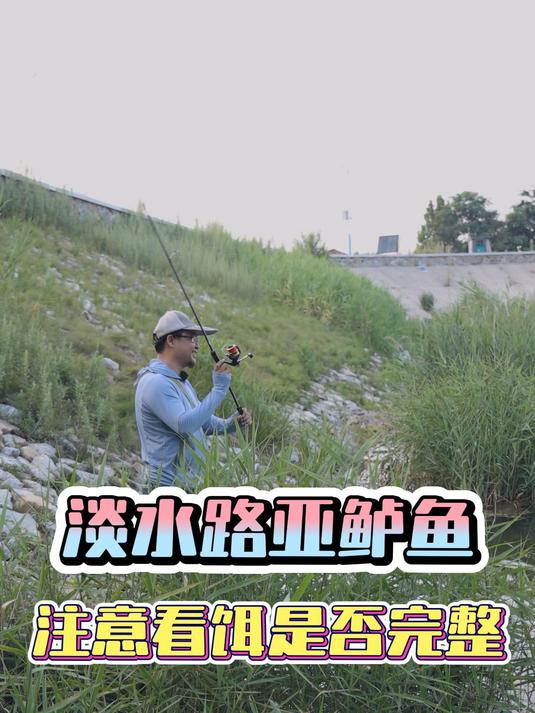 当我们淡水路亚鲈鱼时,要注意饵是否完整~