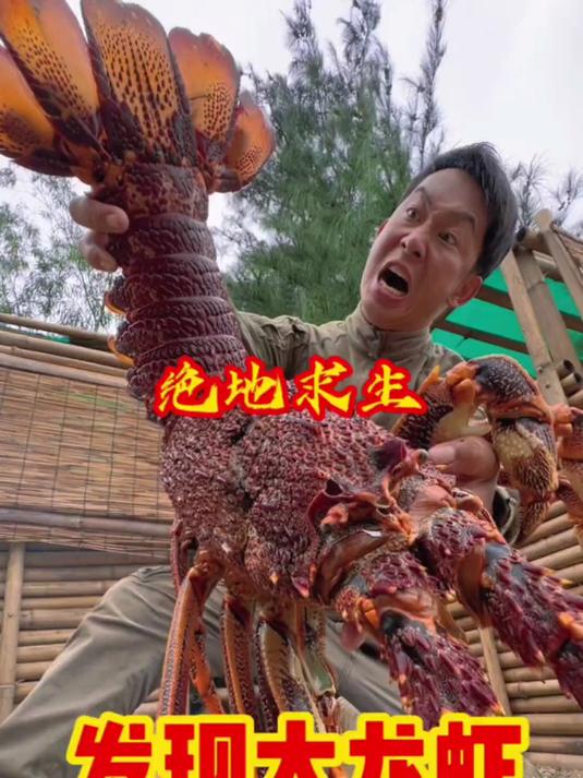 户外,发现大龙虾