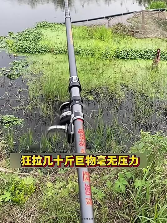 禧玛诺机械师长节海竿 远投锚鱼两不误 性价比超高