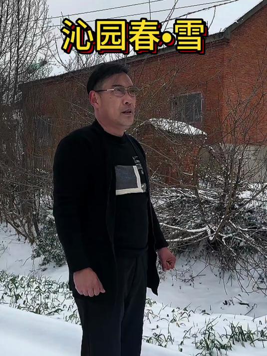 怀念 沁园春雪