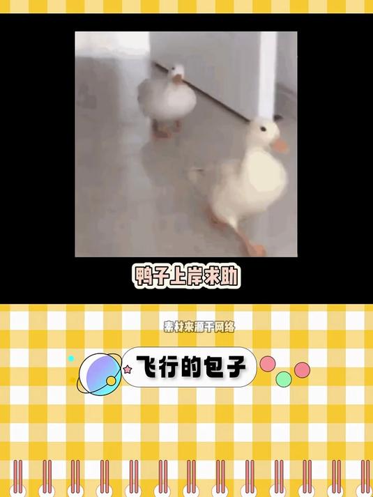鸭子 我卡脖子了 人类 你说话呀