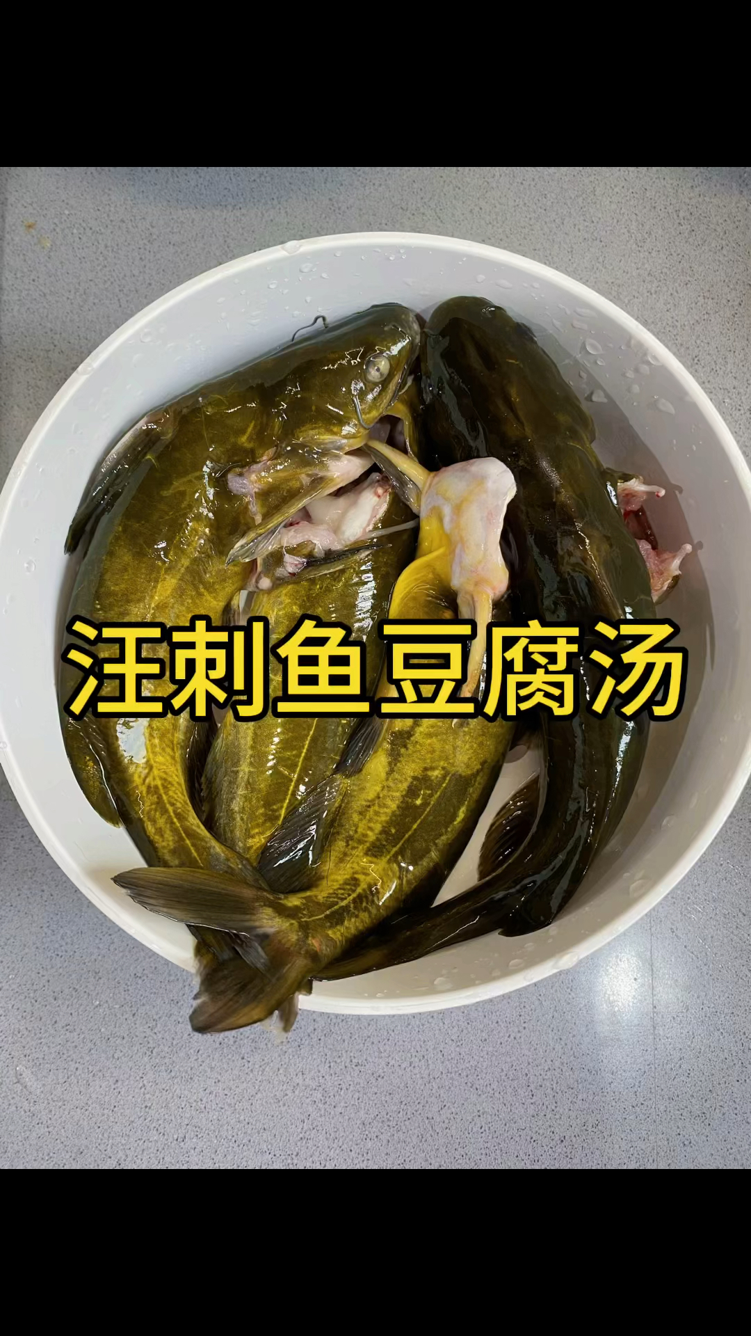 汪刺鱼豆腐汤的做法,宝宝爱吃,有营养