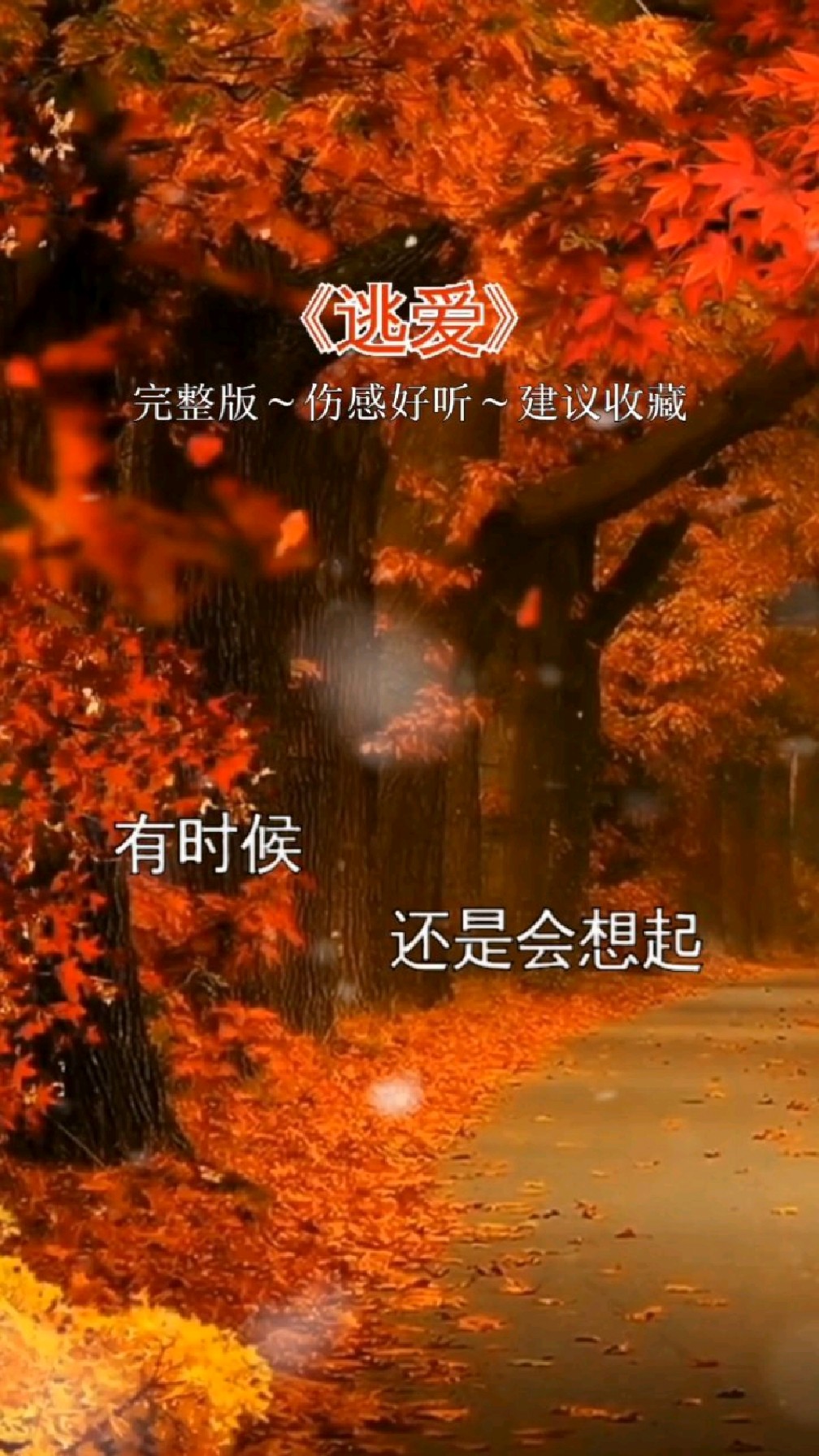 一首经典好听的《逃爱》,多少感情终究逃不过命中注定