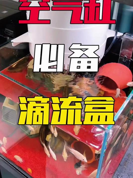 鱼缸鱼池过滤器净水循环养鱼周转箱增氧循环系统过滤设备