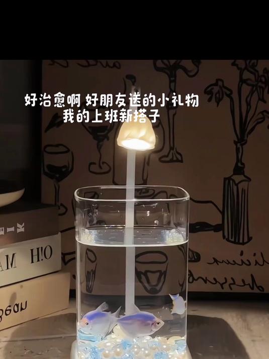 这么好看又治愈的鱼缸,再养上一条好看的斗鱼,简直不要太好看