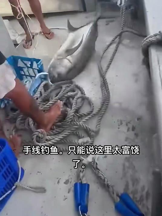 鳐鱼