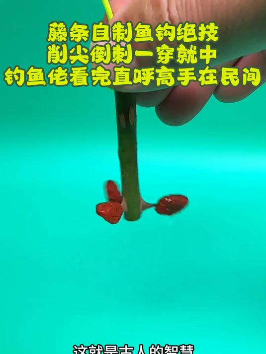 藤条自制鱼钩绝技,削尖倒刺一穿就中,钓鱼佬看完直呼高手在民间
