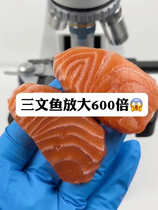 三文鱼真有寄生虫吗?微观世界