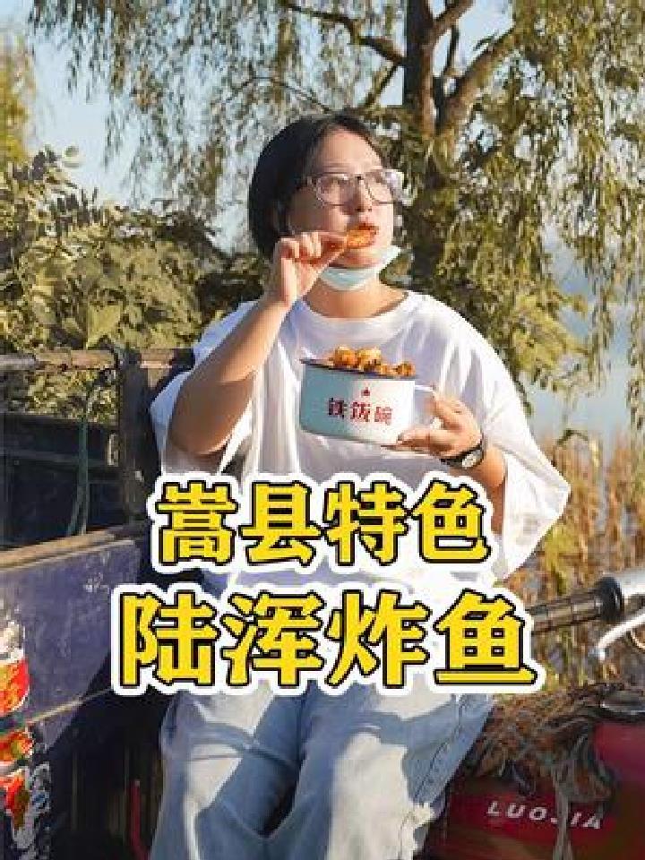 开车50公里,跑嵩县买陆浑特色炸鱼,边吃边看风景太美了