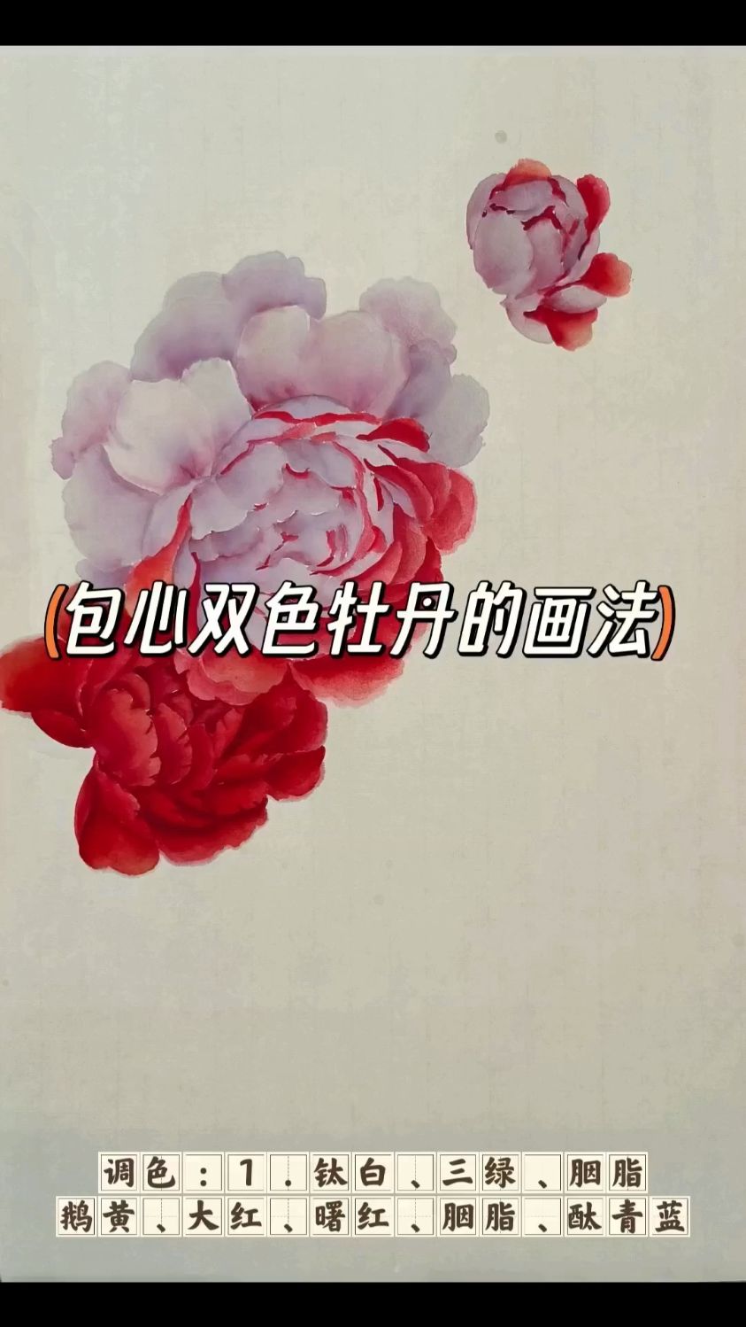 双色盛开牡丹和花苞的画法