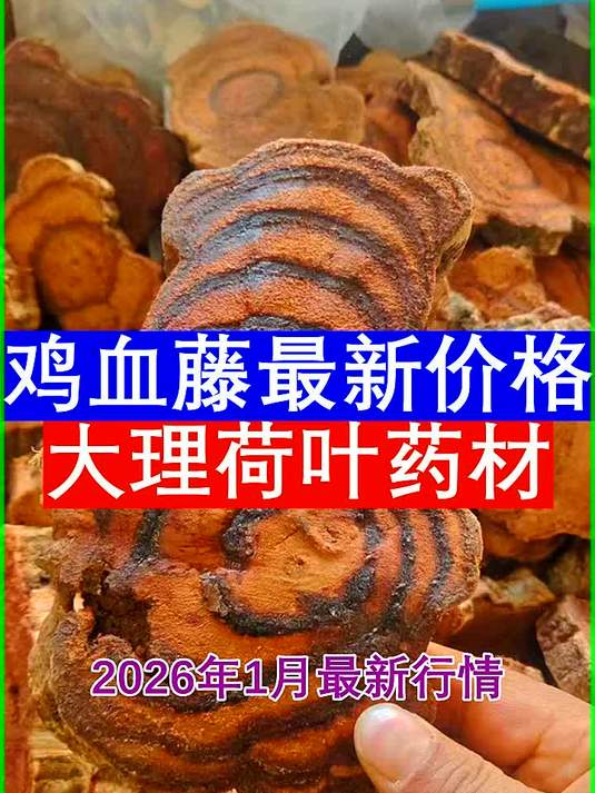 鸡血藤多少钱一斤最新价格