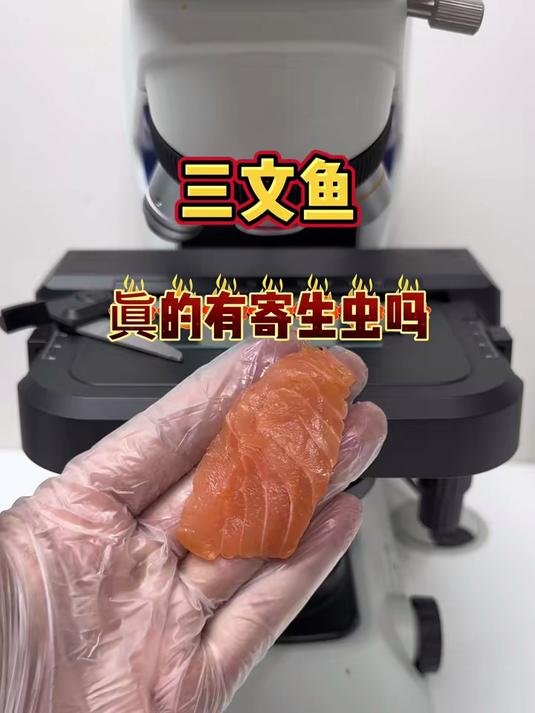 三文鱼真的有寄生虫吗