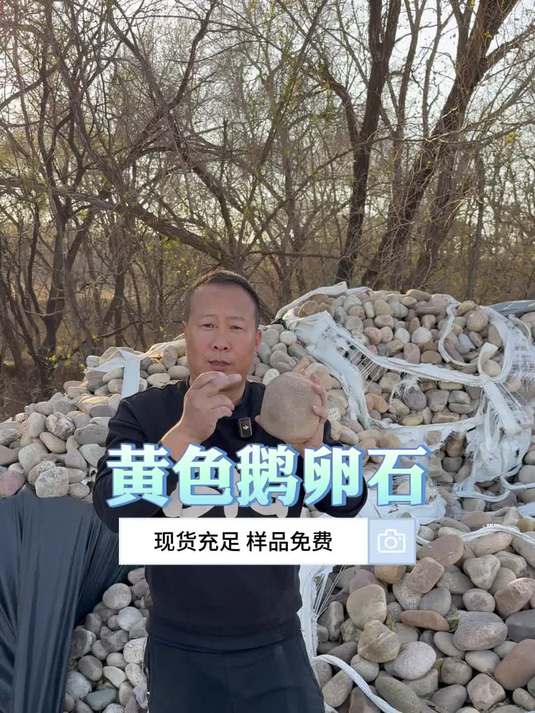 天然黄色鹅卵石 色泽鲜亮颜值出众