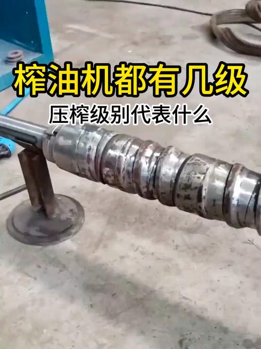螺旋榨油机都有几级,压榨级别代表什么?#全自动螺旋榨油机 #冷热两用榨油机 #核桃榨油机 