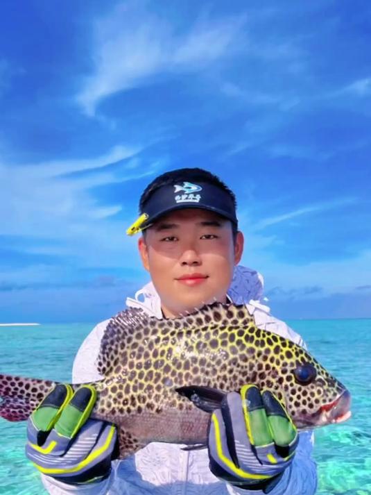 西沙渔船归来,令人眼花缭乱的各类珊瑚鱼