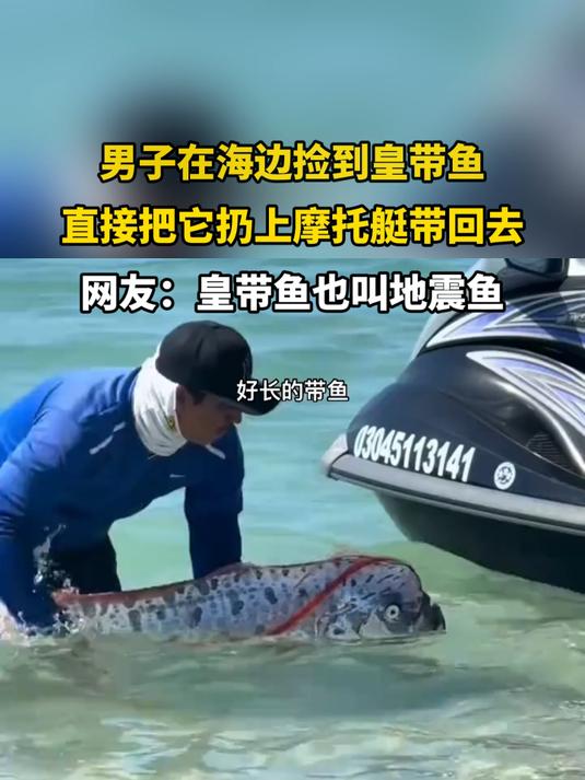 男子在海边捡到皇带鱼，直接把它扔上摩托艇带回去