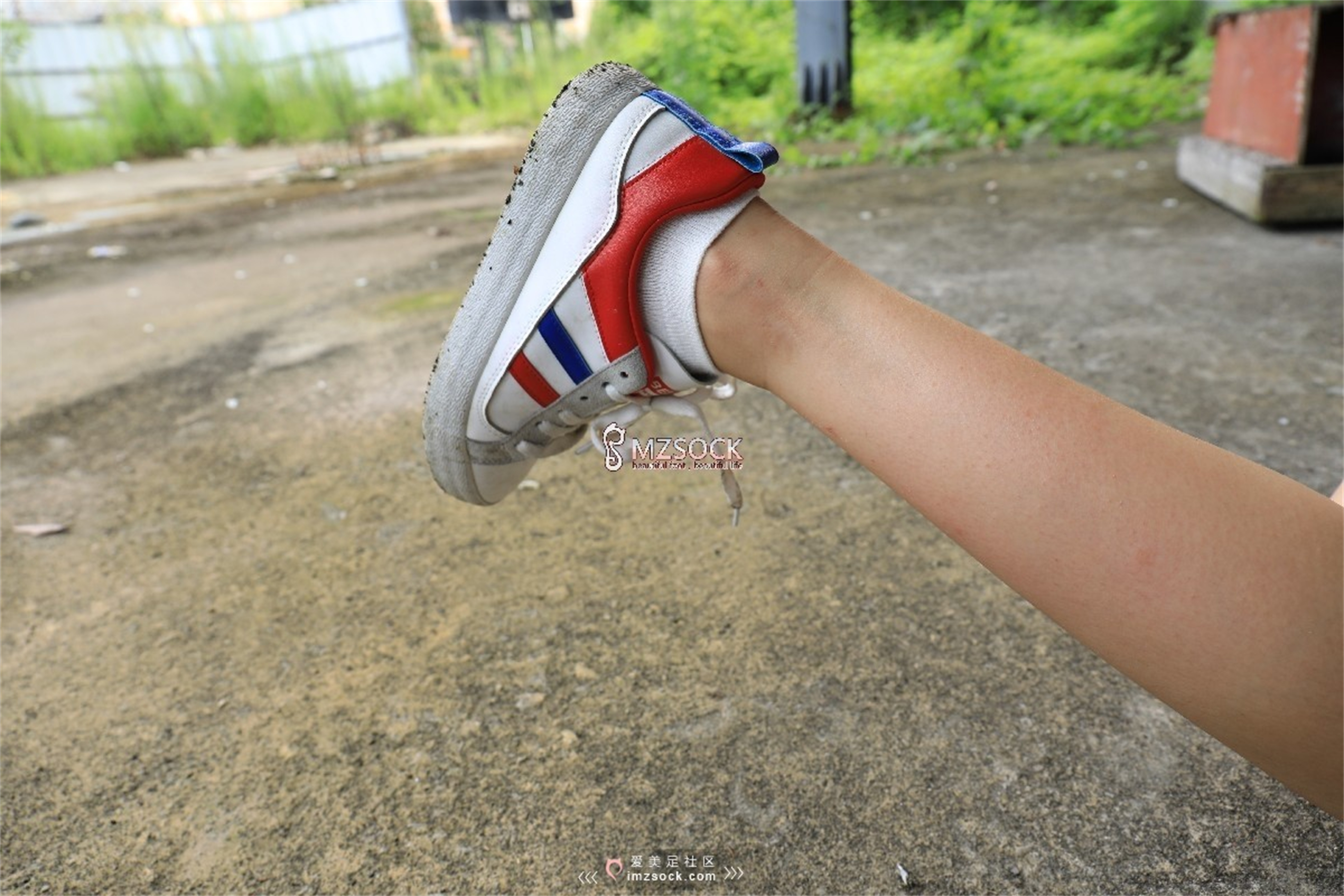 图片[49]-[MZSOCK]爱美足 NO.049 悦悦[122P403M]-六色网