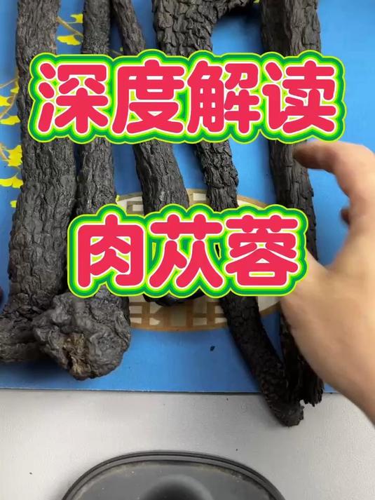 肉苁蓉,你了解吗
