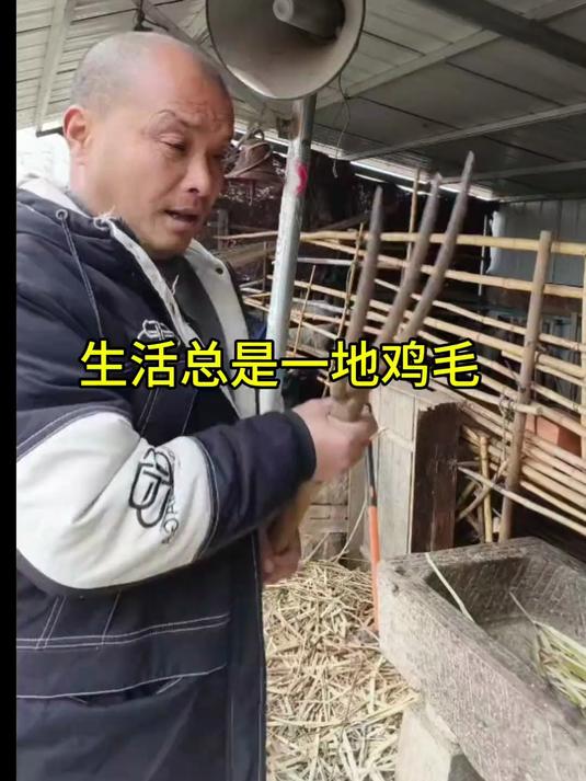 生活总是一地鸡毛#我的乡村生活#