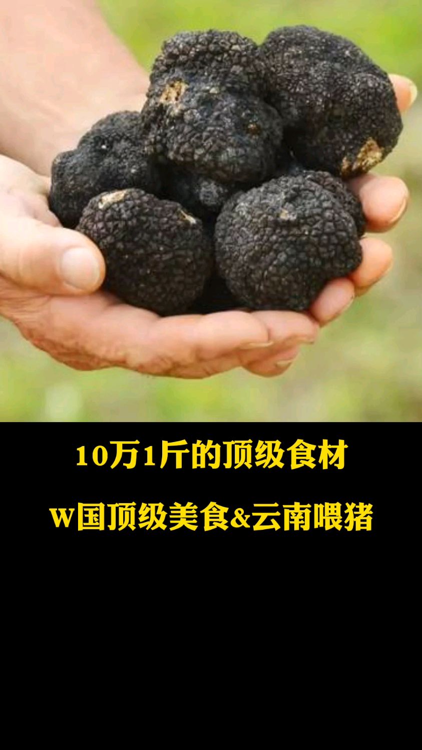 10万一斤的西餐食材