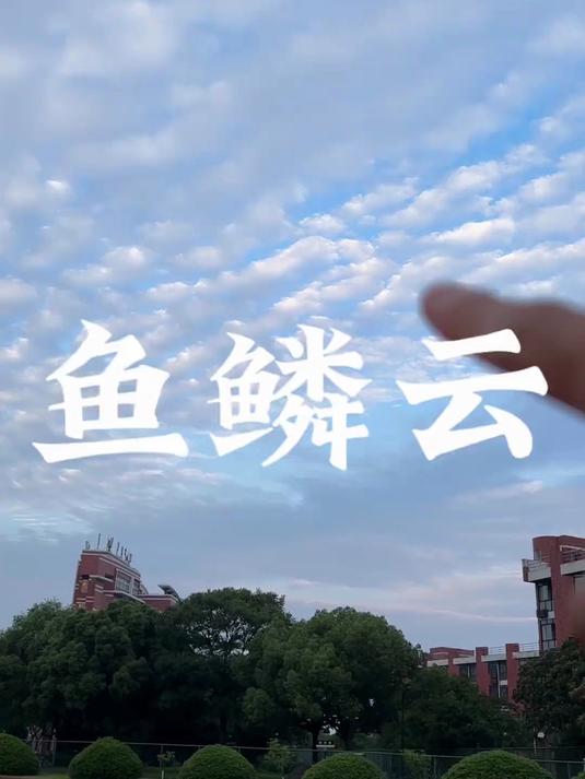 身边的地理:鱼鳞云