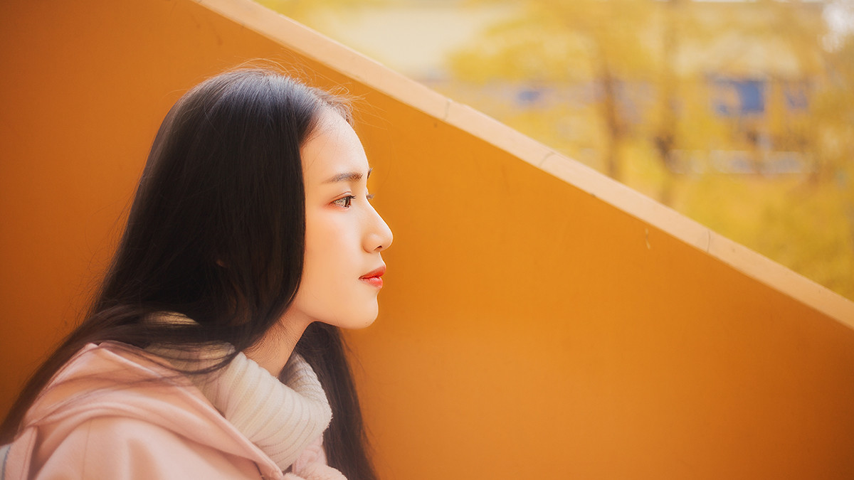 图片[15]-学校的银杏-六色网