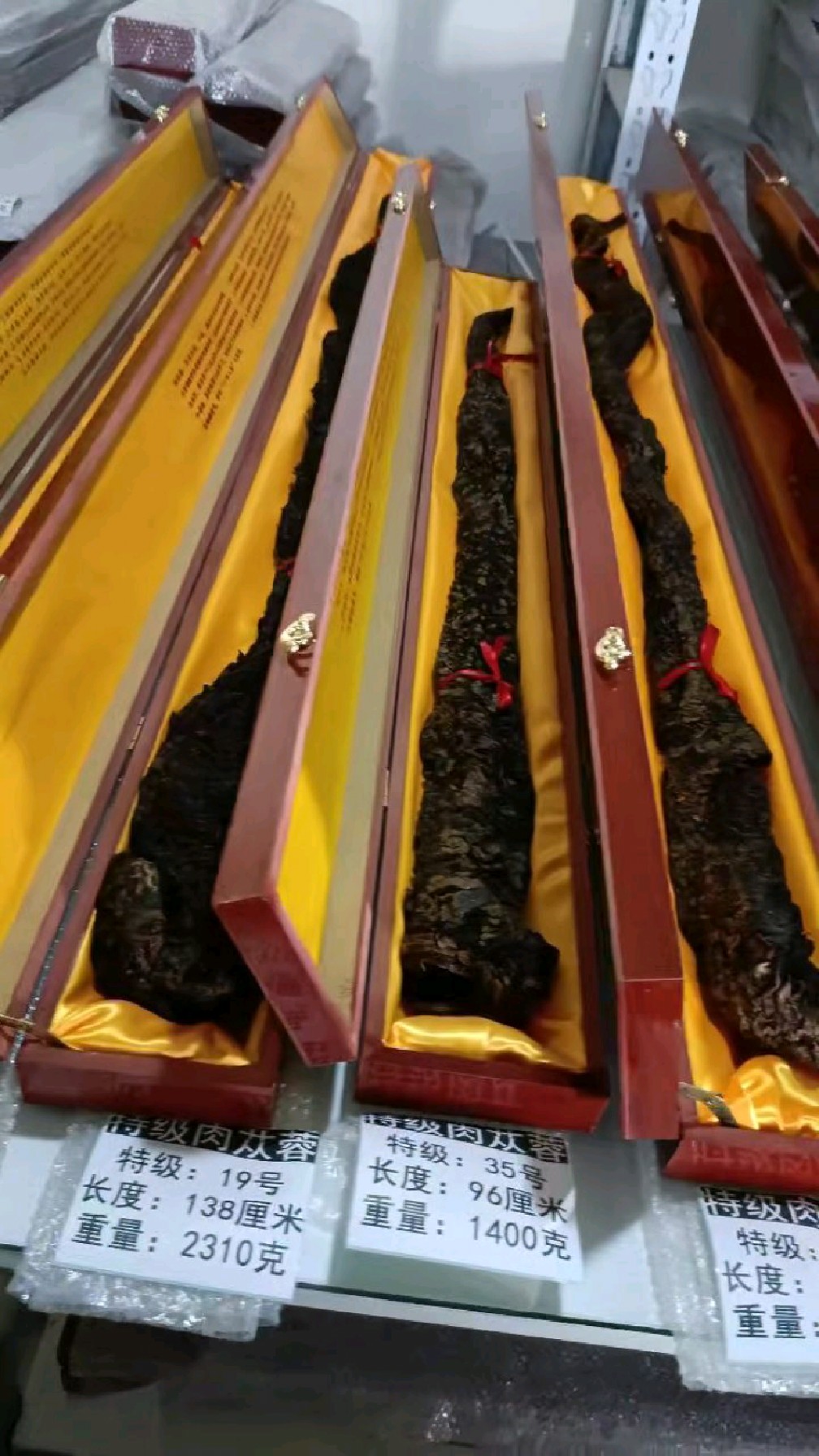 阿拉善野生肉苁蓉整根