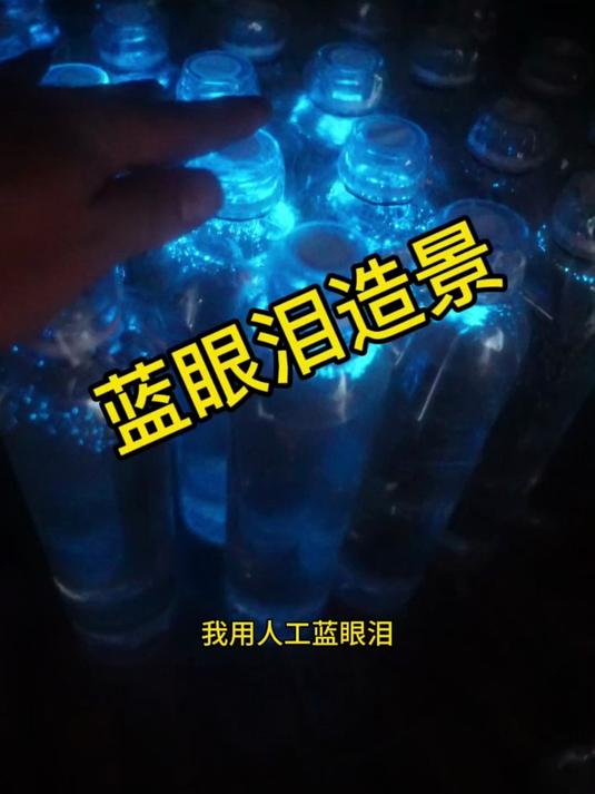 我用能发光的蓝眼泪！做了一套奇幻的鱼缸造景