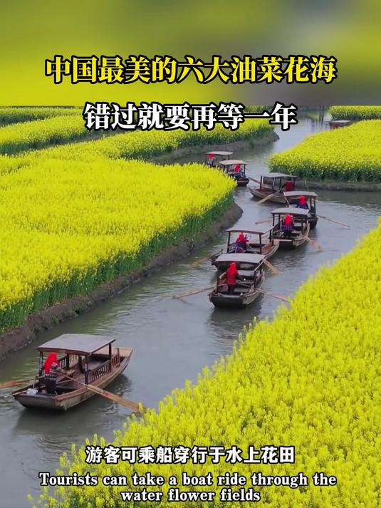 中国最美的六大油菜花海,错过就要再等一年 旅游推荐