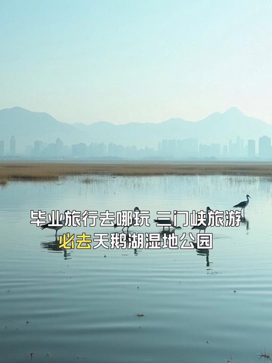 三门峡旅游必去天鹅湖湿地公园,毕业旅行好去处