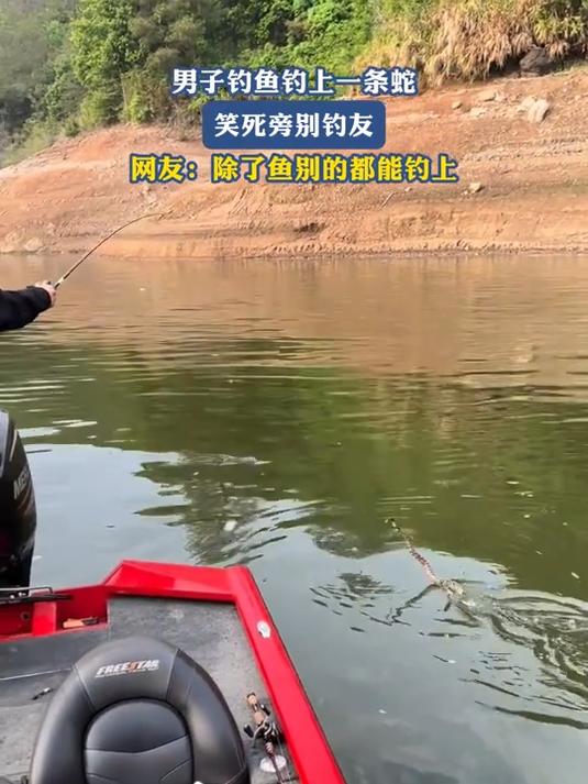 男子钓鱼钓上一条蛇,笑死旁别钓友,网友:除了鱼别的都能钓上