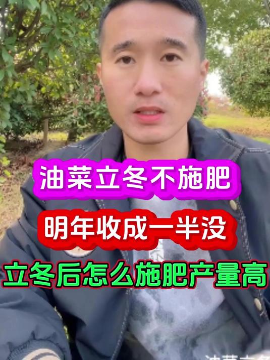 油菜立冬后怎么施肥明年产量高