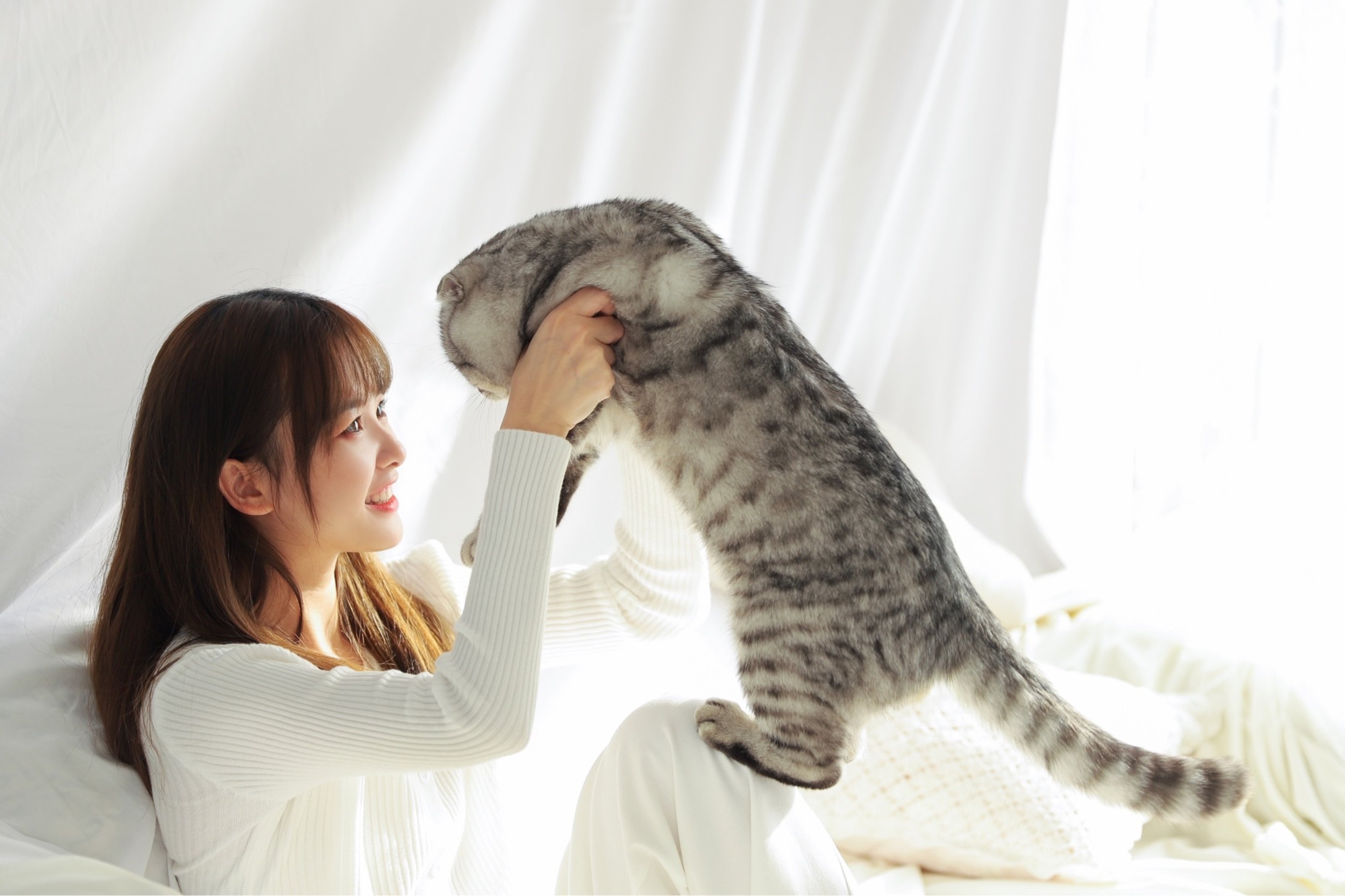 图片[7]-猫猫好可爱-六色网