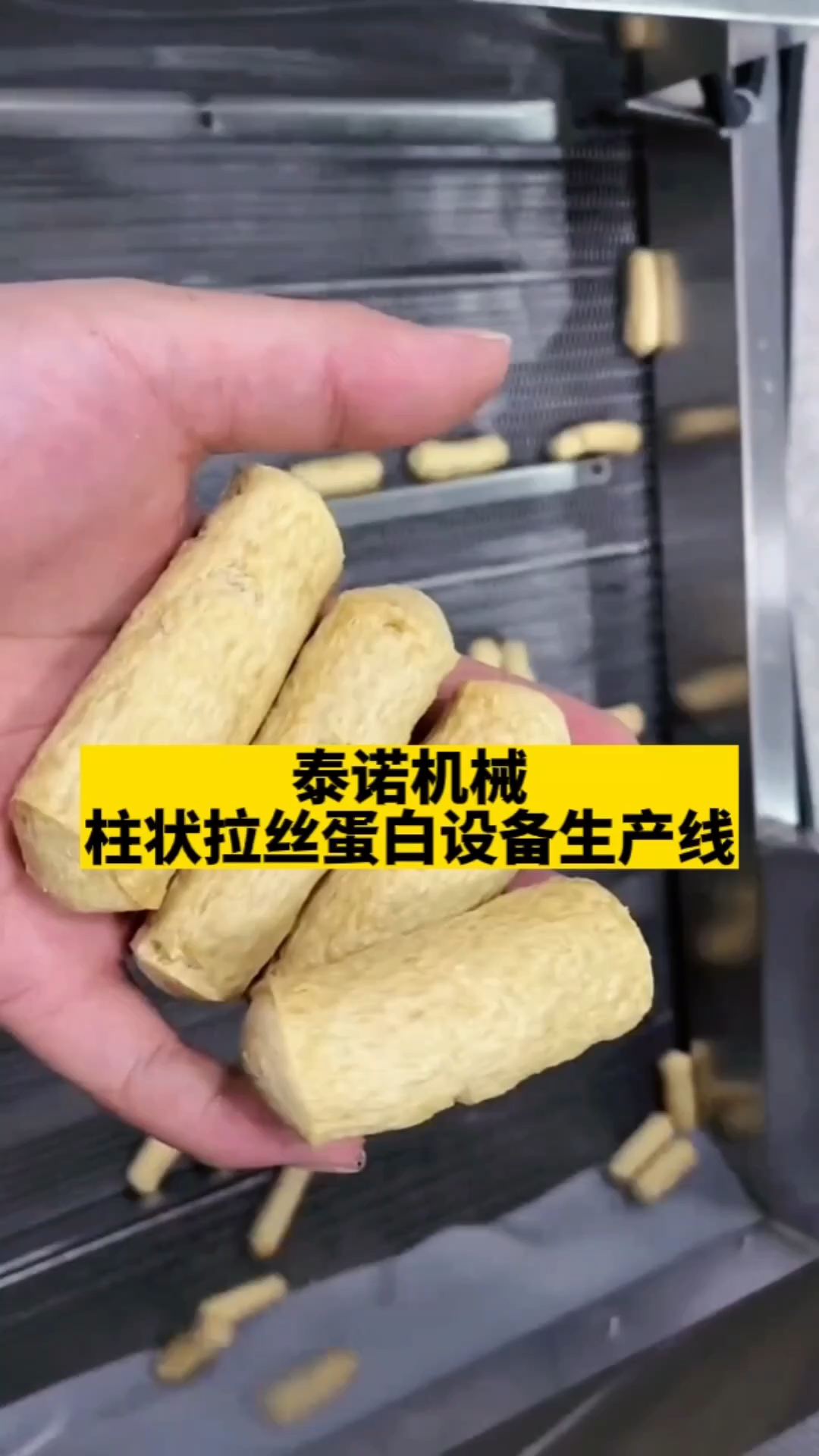 拉丝蛋白生产线,柱状拉丝蛋白设备,素肉胚料生产设备,时产200公斤